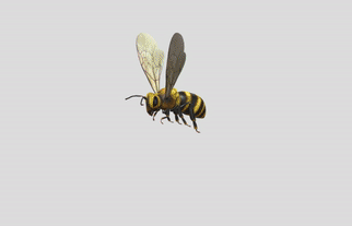 Bee gif